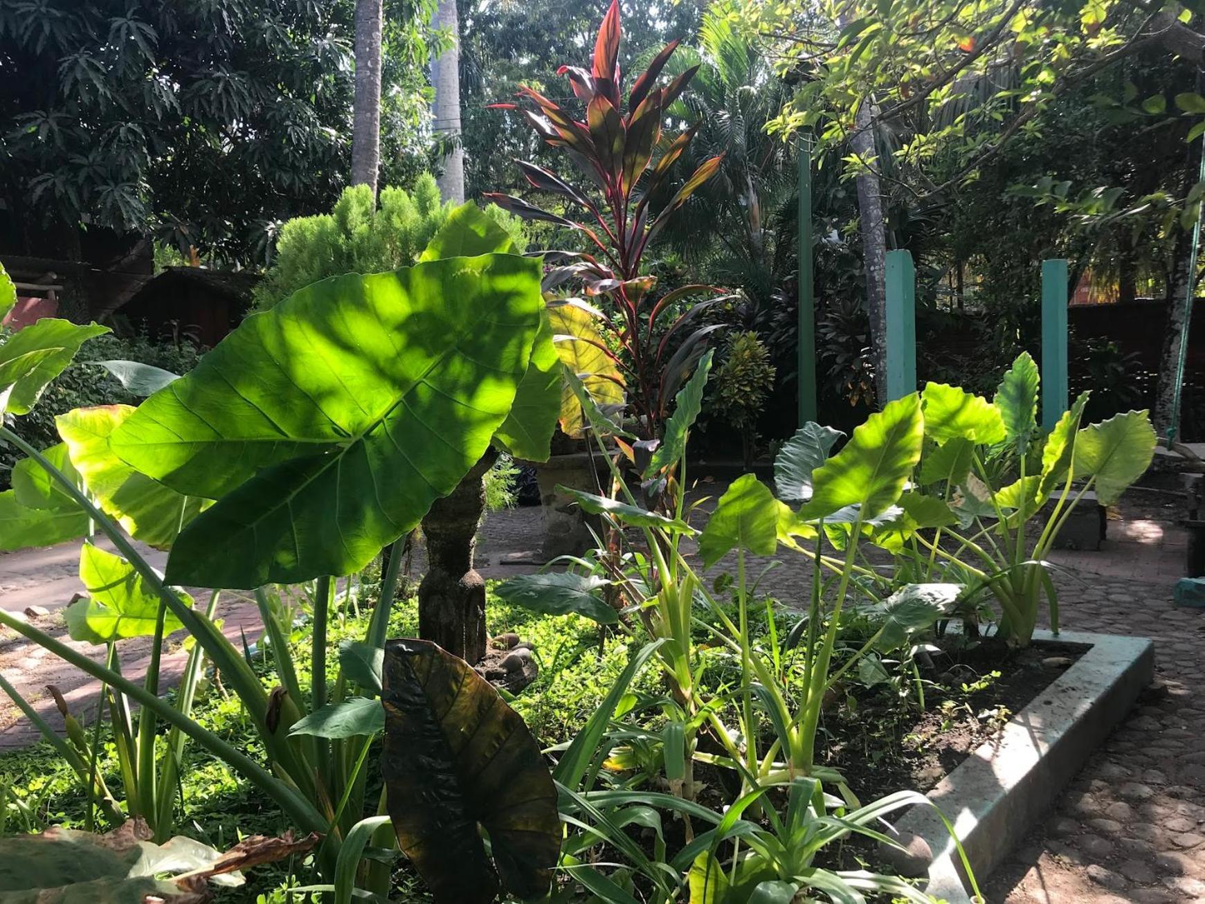 Hostal Tia Reyna El Zonte Ngoại thất bức ảnh